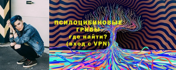 СК Навашино