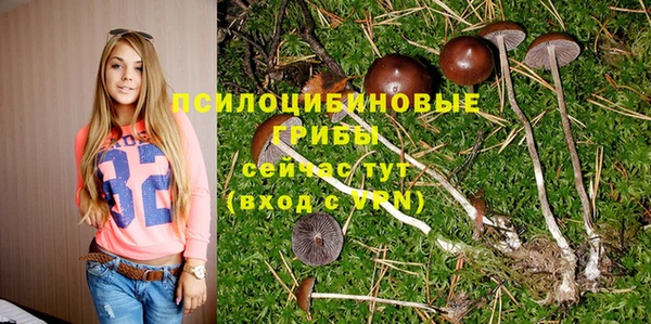 ГАЛЛЮЦИНОГЕННЫЕ ГРИБЫ Надым