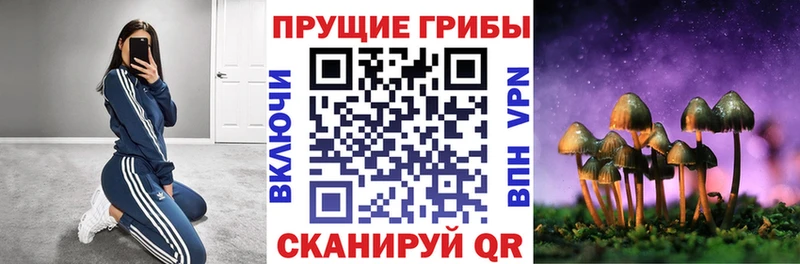 Псилоцибиновые грибы прущие грибы  Купить  Лебедянь 